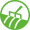 Könyvtáros